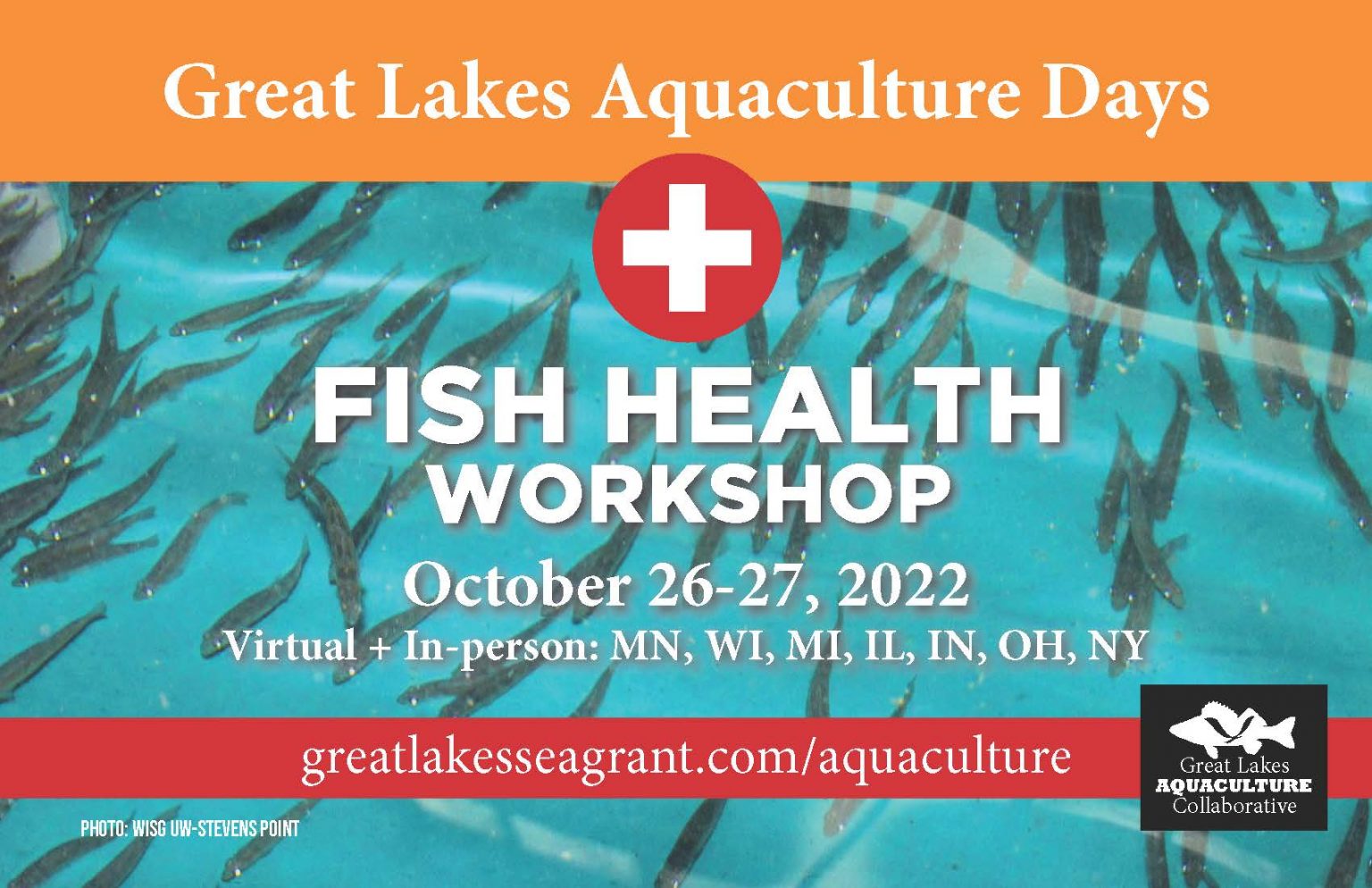 Great Lakes Aquaculture Days to focus on fish health Wisconsin Sea Grant