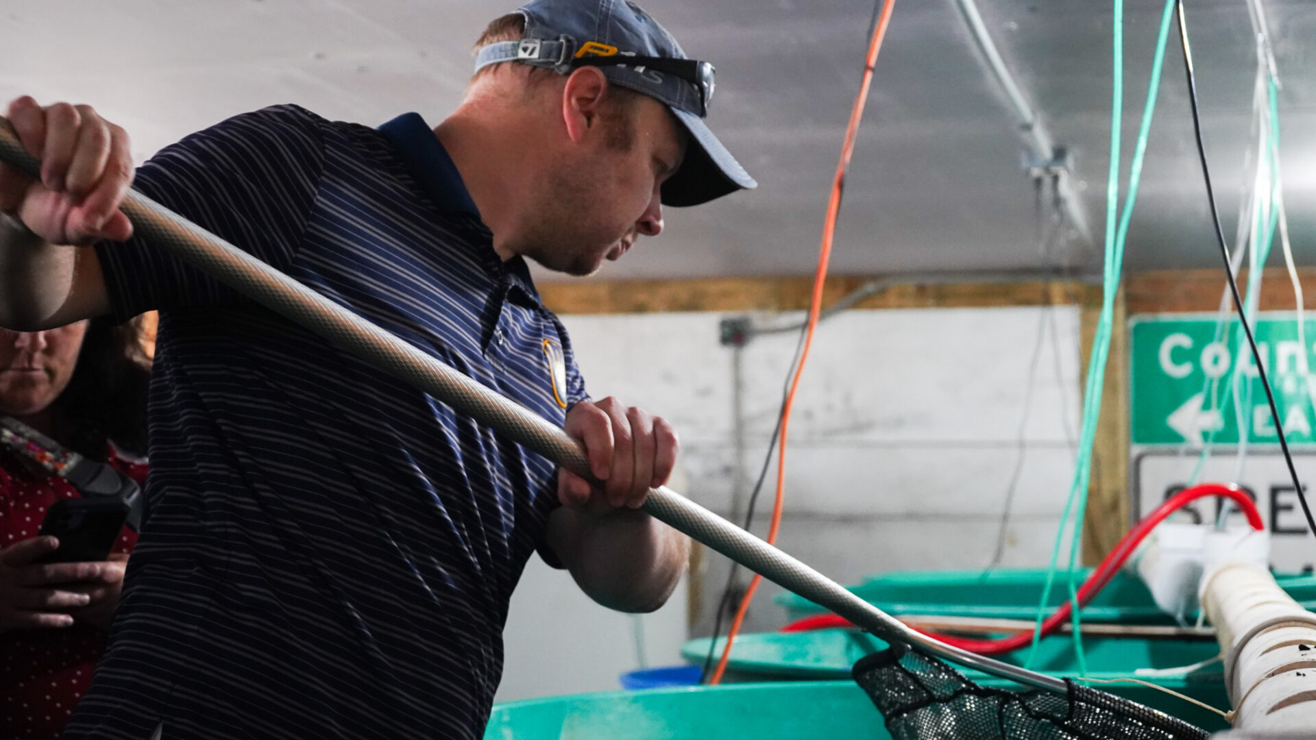 Peter Shep dips a net into a blue tank that holds yellow perch.