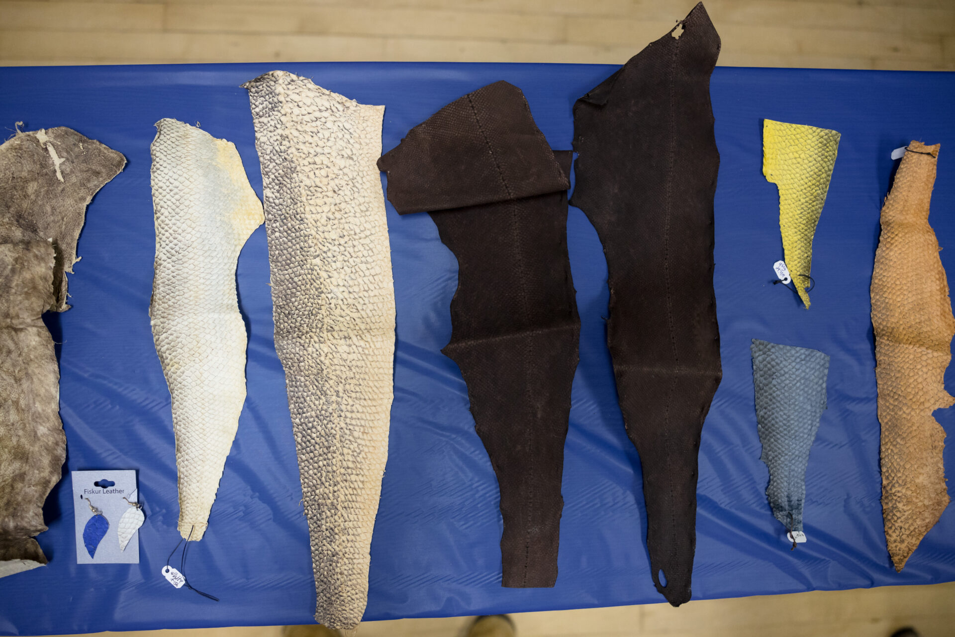 Several long pieces of fish leather