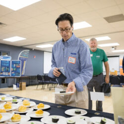 A participant picks up a small plate of pickled herring kimbap.