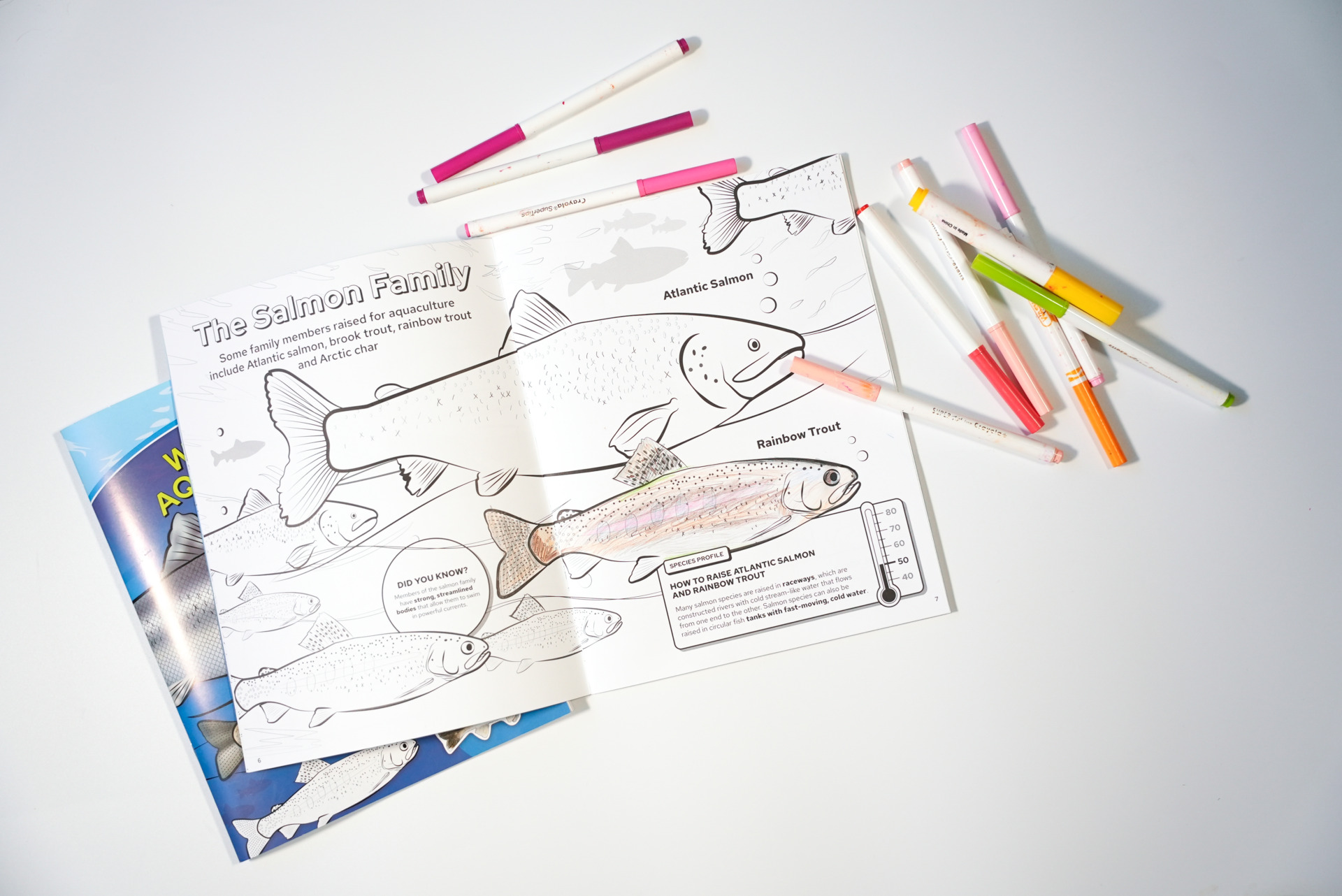 A coloring book page featuring fish from the salmon family with markers scattered around.