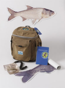 A sticker of a fish and a brown bag.