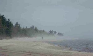 Beach along Lake Huron showing sand and a tree line