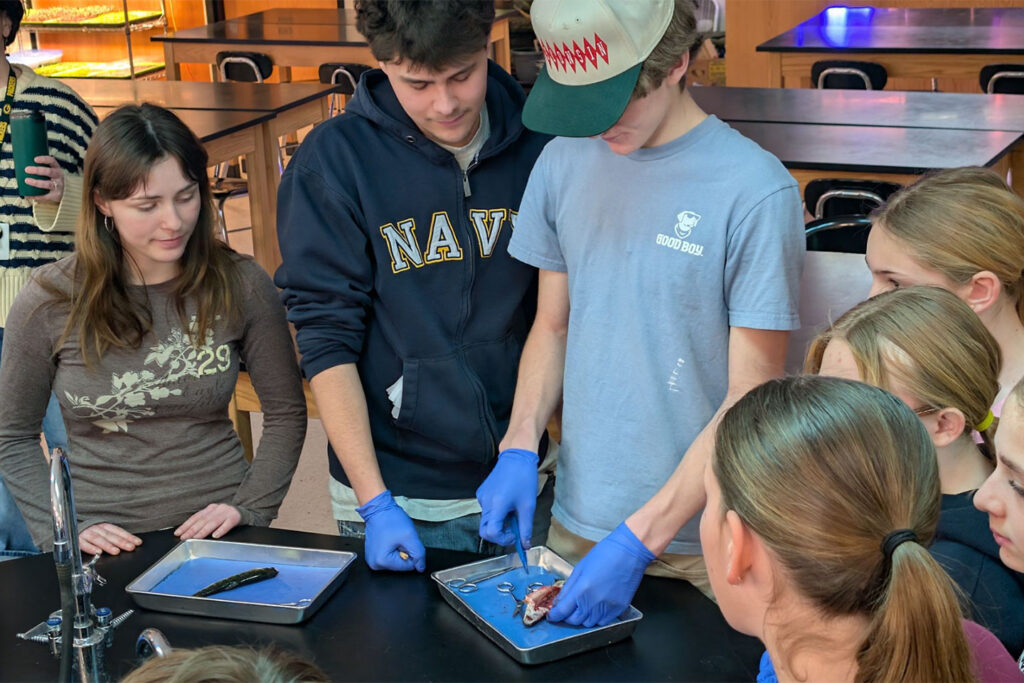 A high school student in a blue sweatshirt shows a sixth grader wearing baseball hat how to dissect a fish, which sits in a blue paper-lined metal pan in front of them.