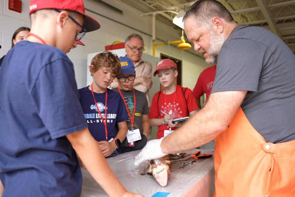 Participants watch Titus dissect a sturgeon during an educational program.